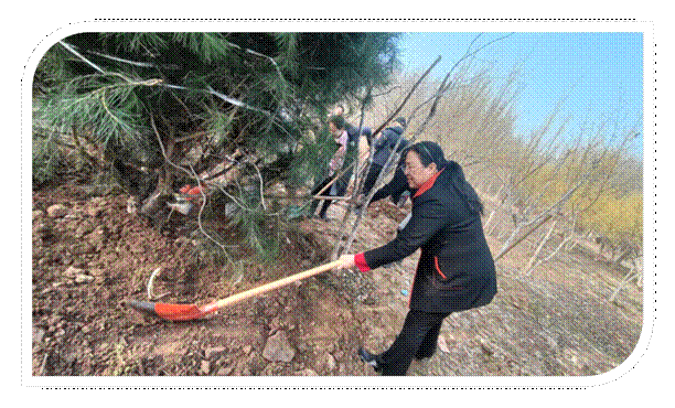 植树照片1.jpg